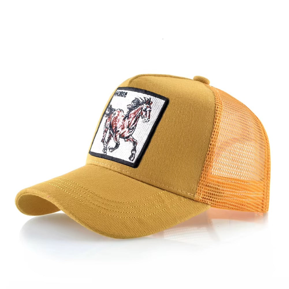 Equine hats