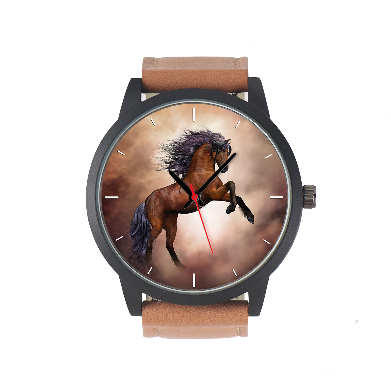 Horse watches women