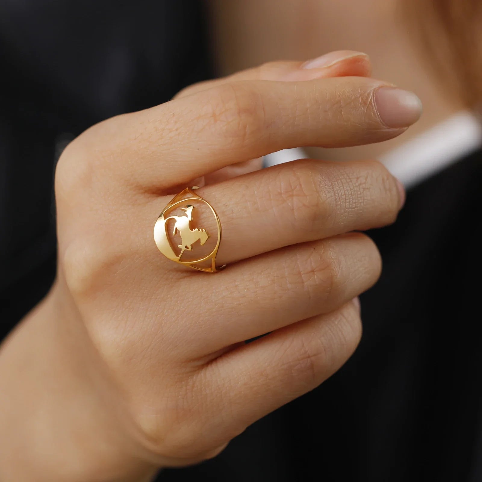 Equestrian ring Dream Horse