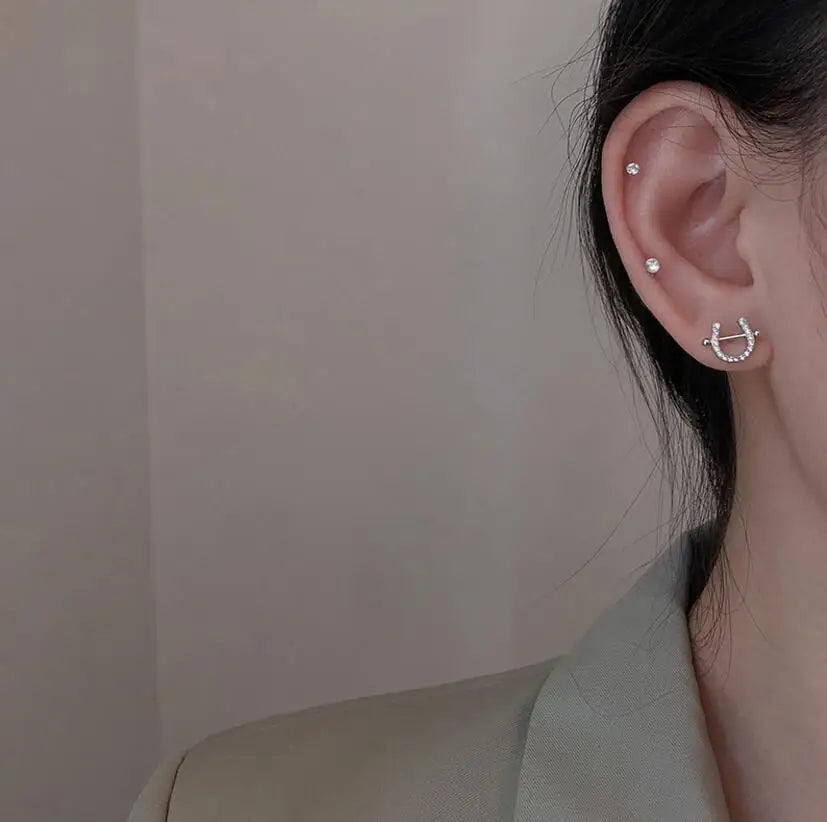 Silver horse shoe earrings Dream Horse