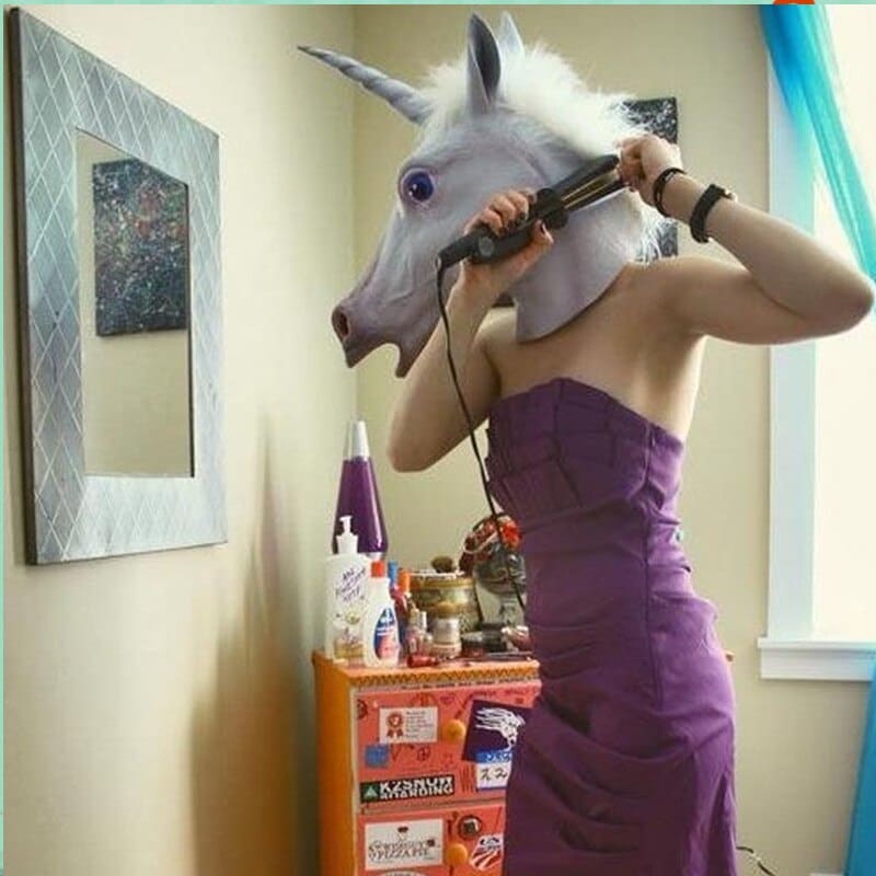 Funny horse costumes - Dream Horse