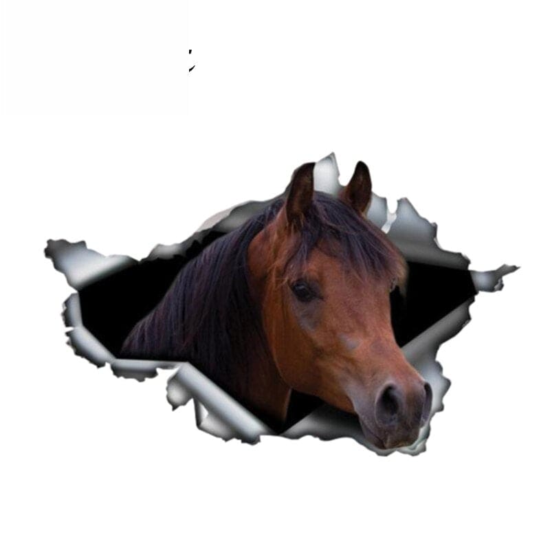 Funny horse stickers (cars) - Dream Horse