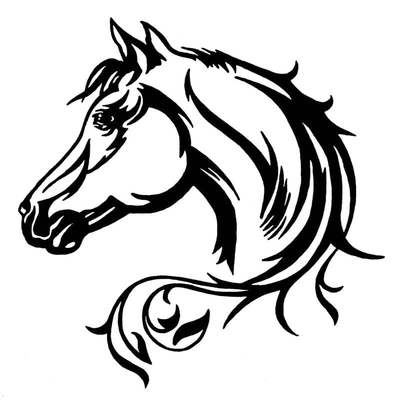 Horse bumper stickers for cars - Dream Horse