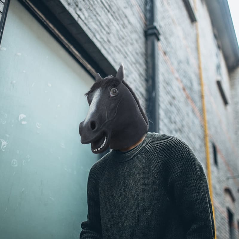 Horse clown costume (Mask) - Dream Horse
