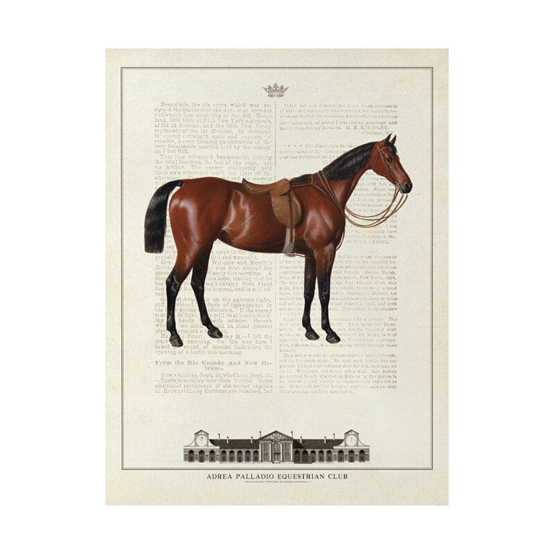 Horse framed wall art - Dream Horse