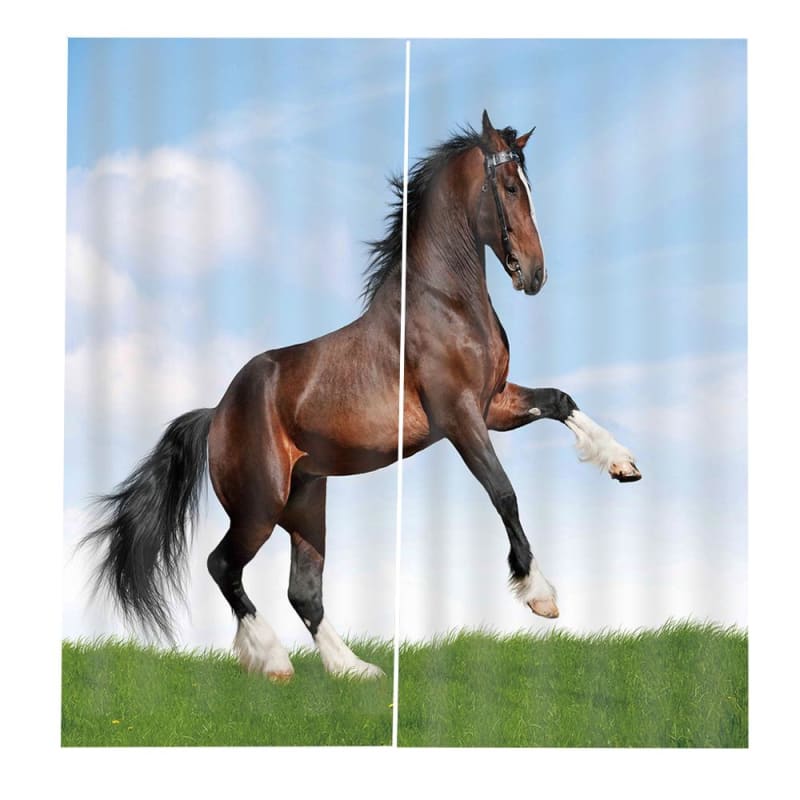 Horse trailer window curtains - Dream Horse