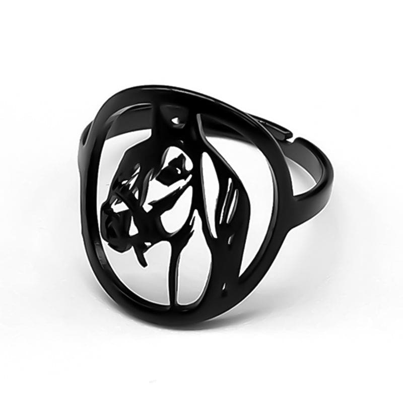 Ring horse (Galloping Horse) - Dream Horse