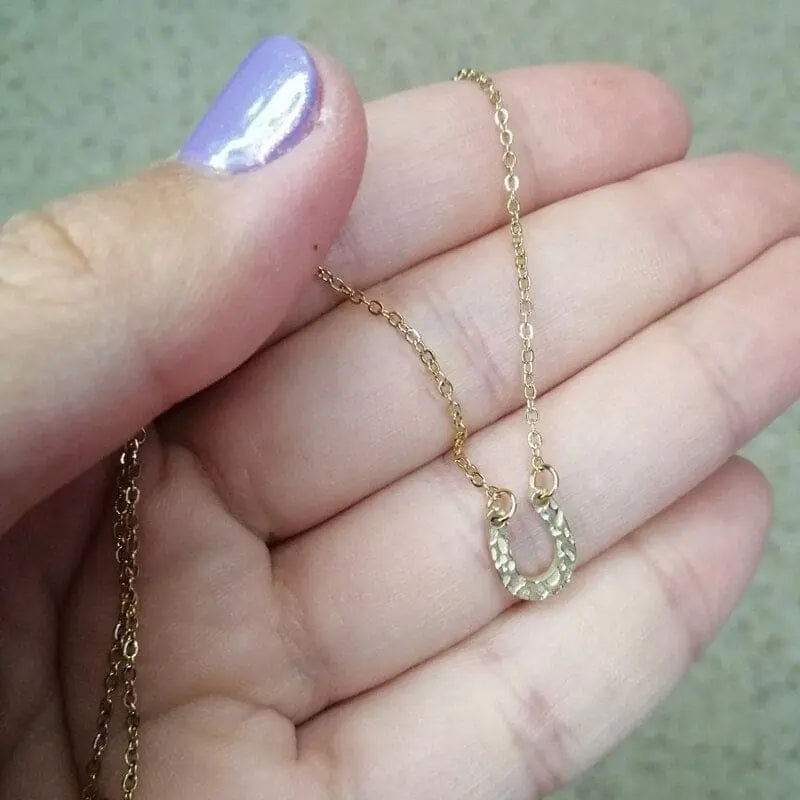 Stainless steel horse shoe necklace (Women) - Dream Horse